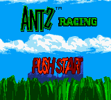 Antz Racing