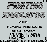 Fighting Simulator 2in1 - Flying Warriors