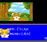 Hamster Monogatari GB + Magi Ham Mahou no Shoujo