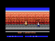 Labyrinth