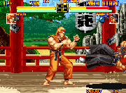 Art of Fighting