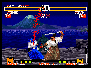 Samurai Shodown